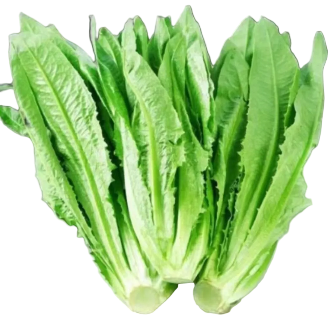 Green leafy vegetables