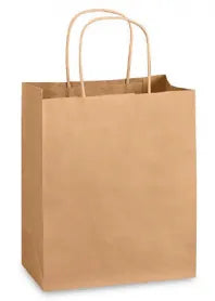 Small Kraft Rope Handle Paper Bag (s) 9x10.25x6.25" 300/cs