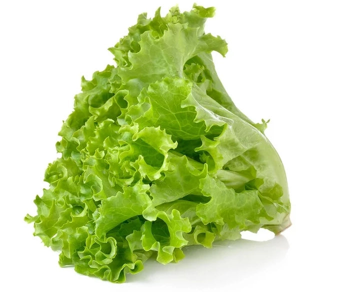 Lettuce green leaf