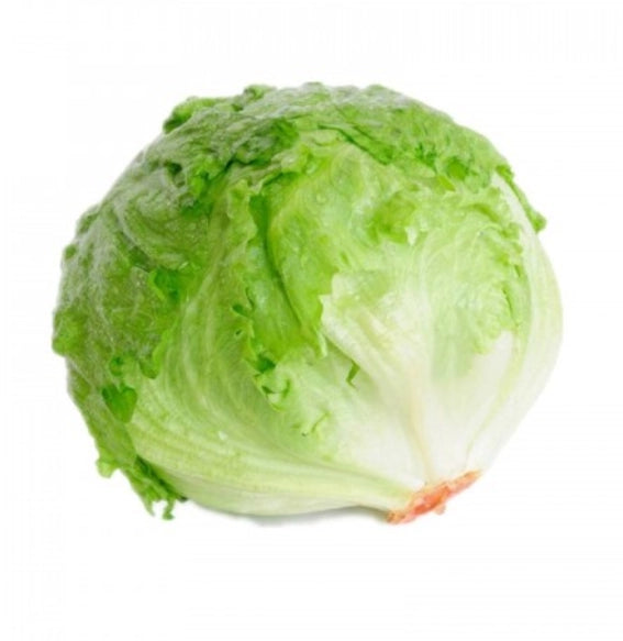 Lettuce Iceberg 24's