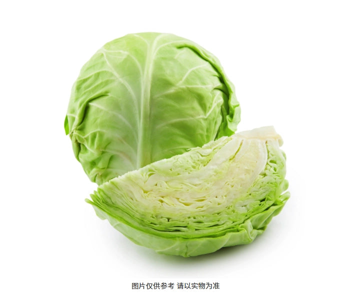 CABBAGE GREEN CAVAZ/MX 40-45 LBS 青椰菜