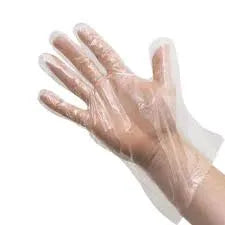 Poly Deli Disposable Hdpe Glove (l) 500/pk