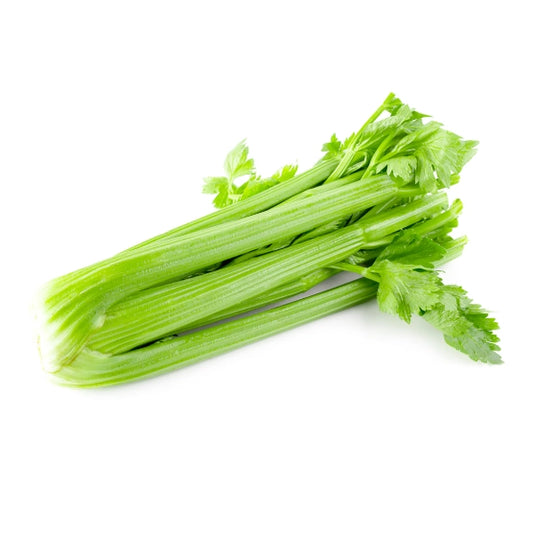 CELERY DOLE  24‘s/case （西芹）