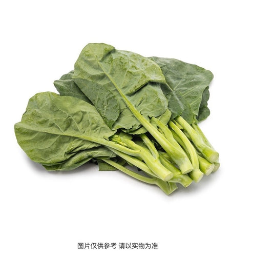 Gai Lan Shoots（芥蓝苗）/lb