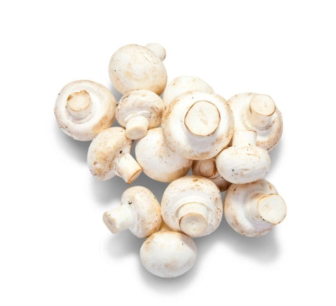 MUSHROOMS WHITE No.1 BC 12*227g (白蘑菇）