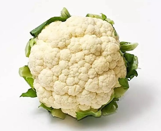 CAULIFLOWER CELLO AZ/CA 12'S /case 花椰菜