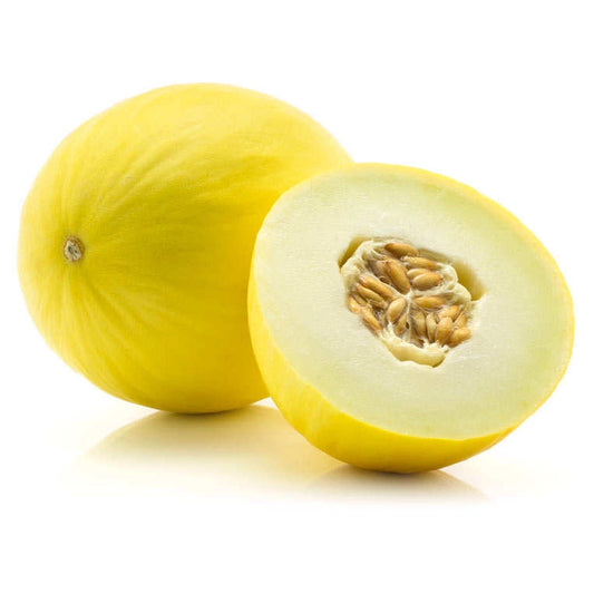 MELON CANARY MEX 6-8'S