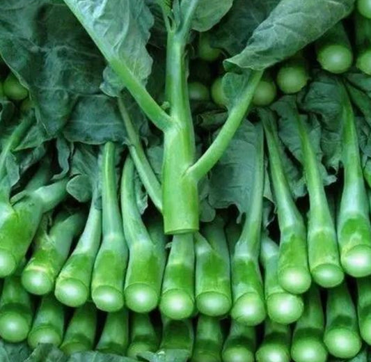 GAI LAN CALIF/MEX 30 LBS