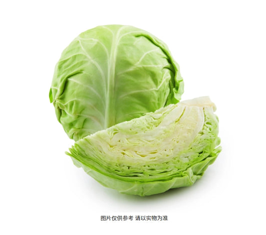 CABBAGE GREEN CAVAZ/MX 40-45 LBS 青椰菜