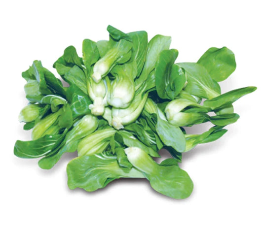 SHANGHAI BOKCHOY MUE BC上海苗（上海白菜苗）25lb/case